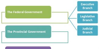 Political Hierarchy Political System And Structures