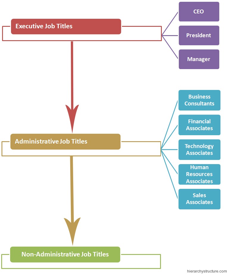 Business Jobs Titles Hierarchy Hierarchystructure