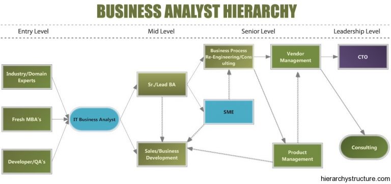 Business Analyst Hierarchy