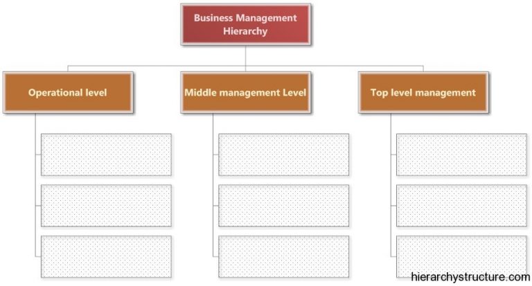 Business Management Hierarchy
