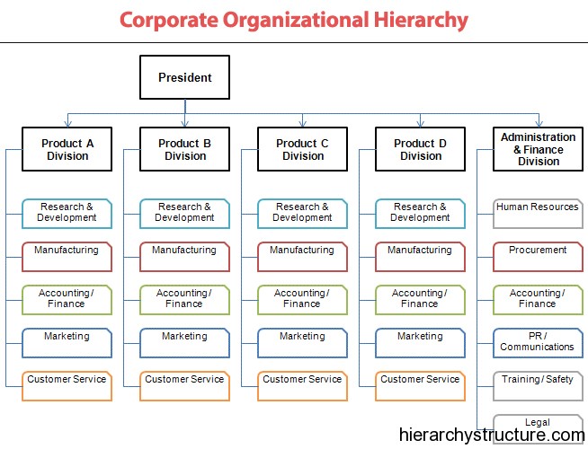 Corporate Organizational Hierarchy