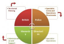 TCS Career Hierarchy Chart | Hierarchystructure.com