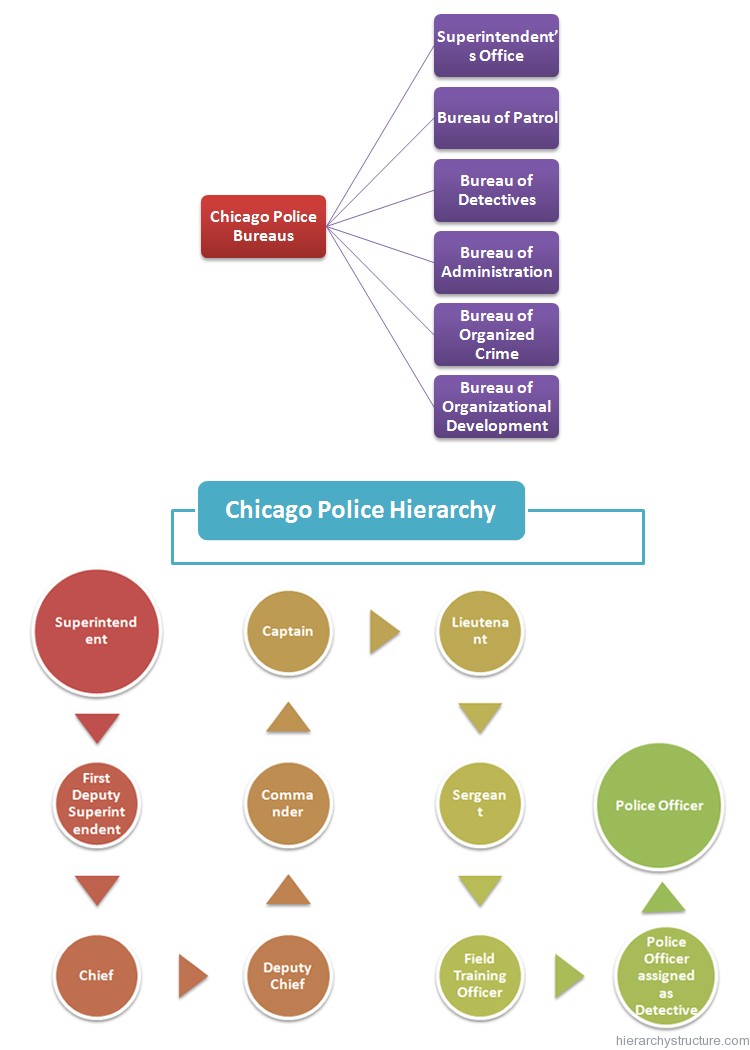 Chicago Police Hierarchy