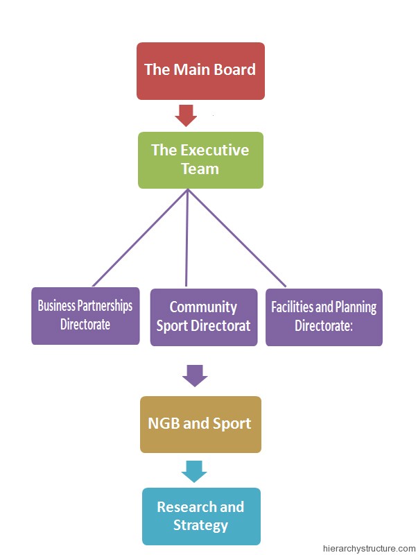 Sports Team Hierarchy