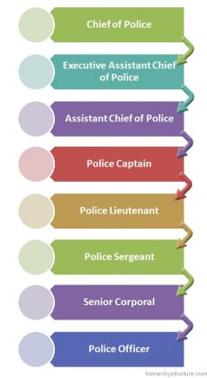 hierarchy ranks hierarchystructure sergeant chief boston roles