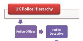 Police Hierarchy-Police ranks and structures | Hierarchystructure.com