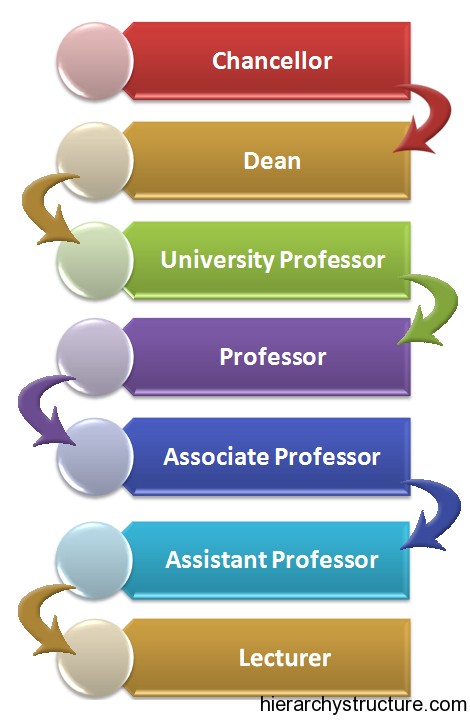 Academic Career Hierarchy