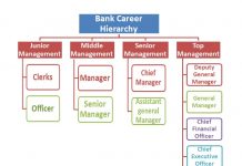 IBM Career Designation Hierarchy | Hierarchy Structure