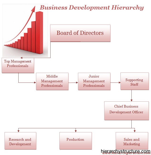Business Development Hierarchy