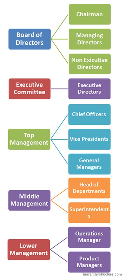 Business Organization Hierarchy