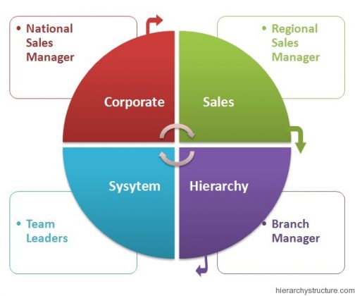 Corporate Sales Hierarchy | Sales Department Hierarchy