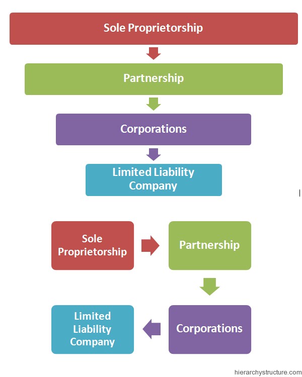 Corporate Structure Hierarchy