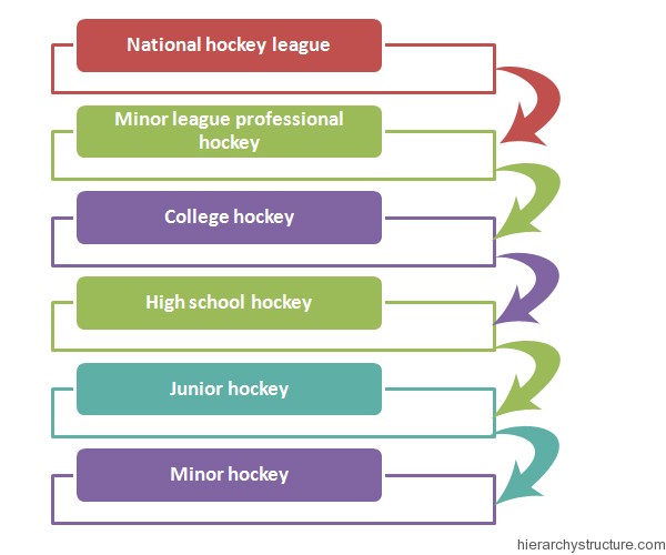 Hockey League Hierarchy