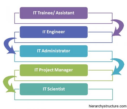 IT Career Hierarchy | It Job Titles Hierarchy