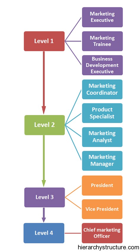 Marketing Career Hierarchy