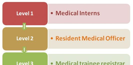 Career Hierarchy | Career Path,choices And Options Hierarchy