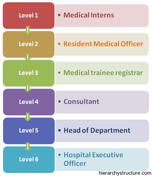 Medical Career Hierarchy