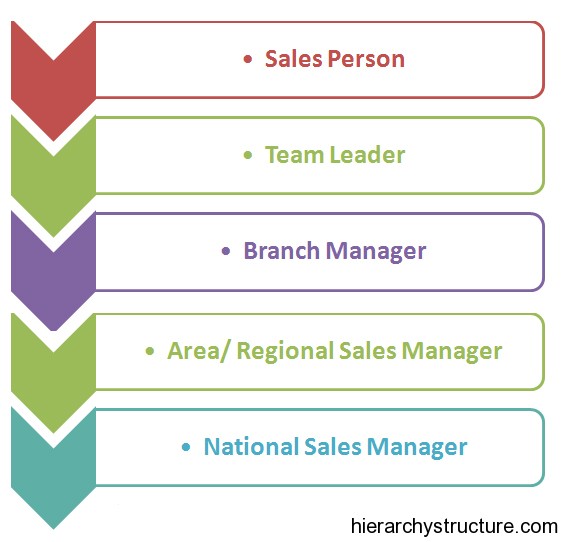 Sales Career Hierarchy