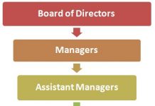 Company Administration Hierarchy Chart | Hierarchystracture.com