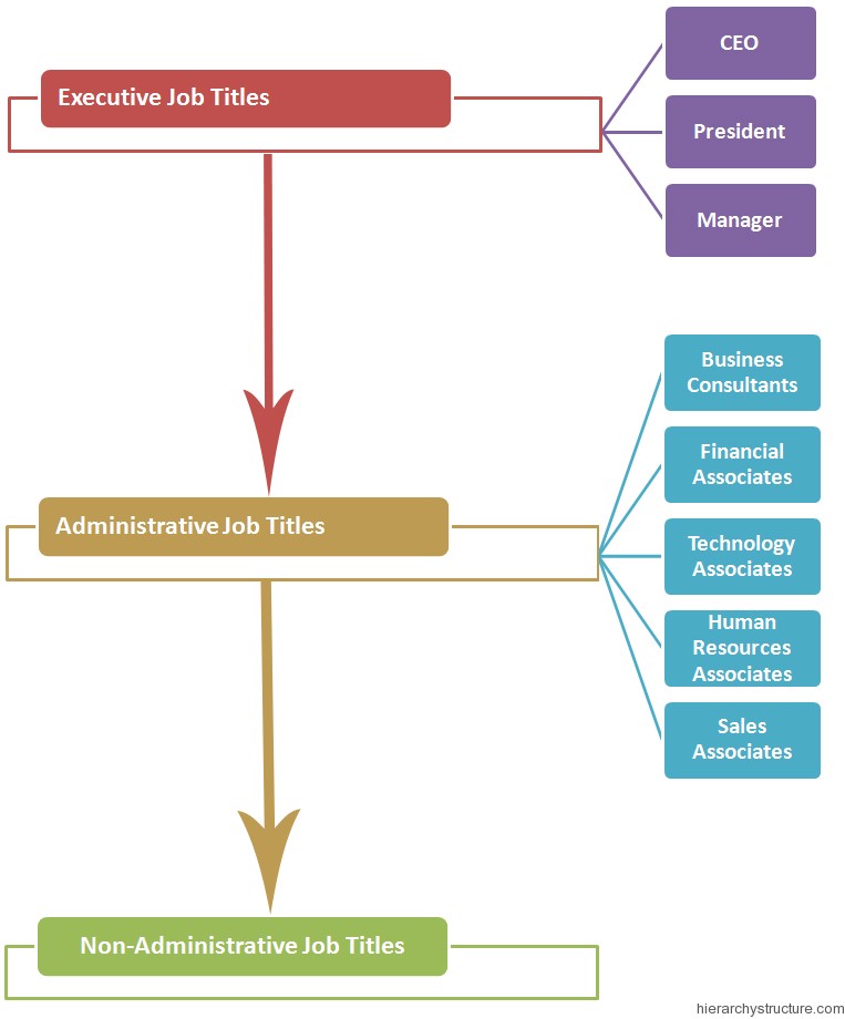 Business Jobs Hierarchy