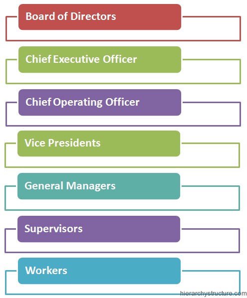 Corporate Management Hierarchy