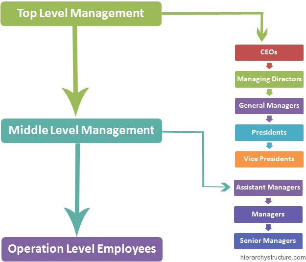 Levels In Business Hierarchy 