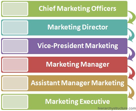 Marketing Corporate Hierarchy