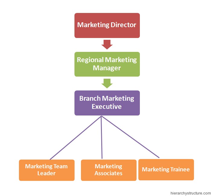 Marketing Jobs Hierarchy