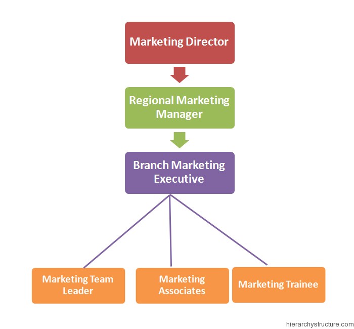 Marketing Department Jobs Titles Hierarchy Hierarchy Structure