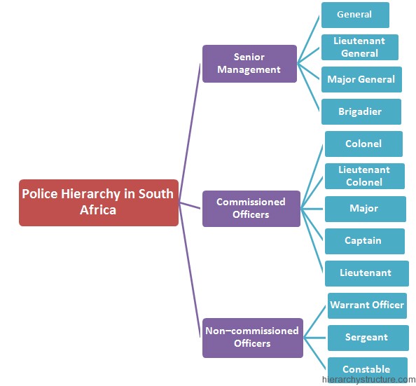Police Hierarchy in South Africa
