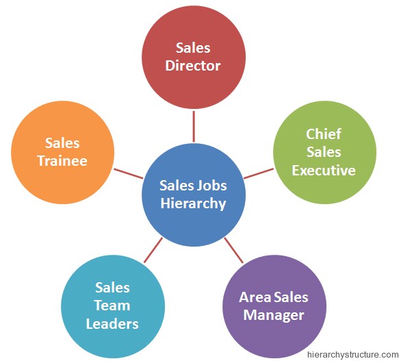 Sales Jobs Hierarchy