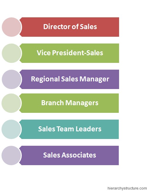 Sales Management Job Titles Hierarchy Hierarchy Structure