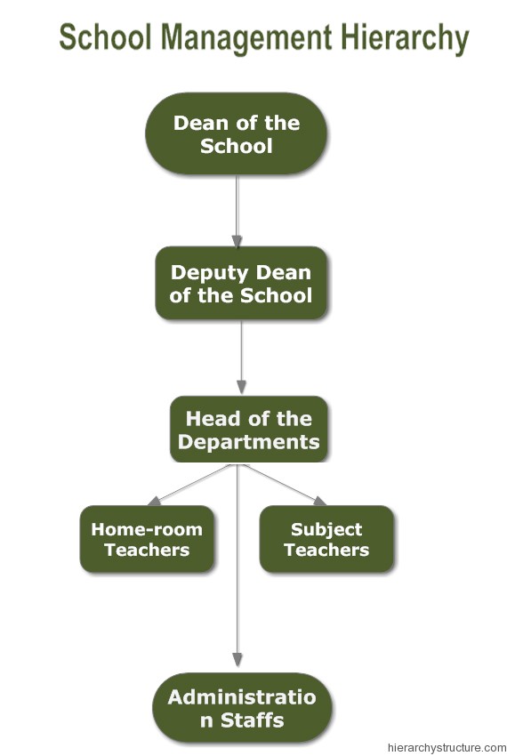 School Management Hierarchy