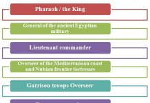 Jobs Hierarchy | Job Hierarchy Structure And Charts |Hierarchystructure.com