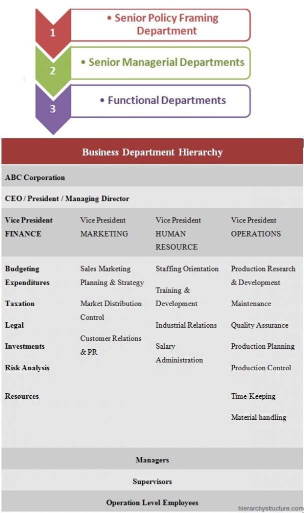 Business Department Hierarchy | Hierarchy Structure
