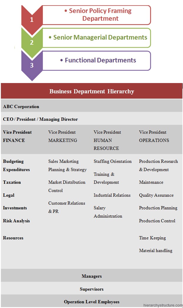 Business Department Hierarchy