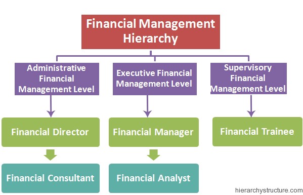 Financial Management Hierarchy