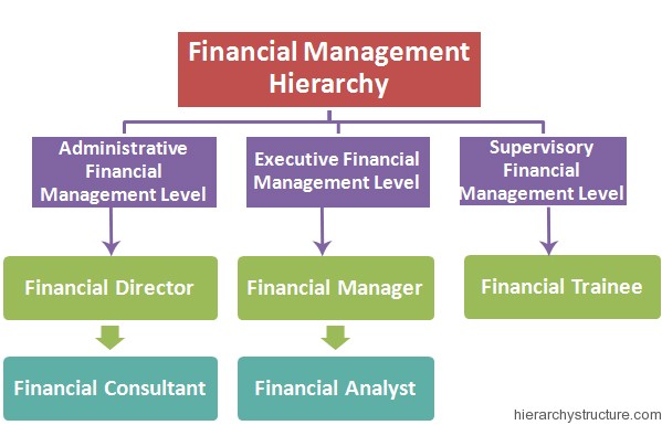 financial-management-hierarchy-hierarchystructure