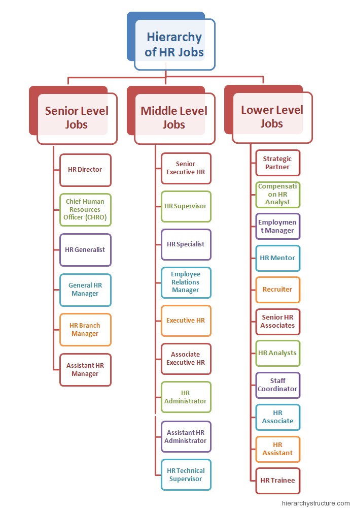 Human Resource Management HR Jobs Hierarchy Structure