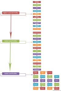 Hierarchy of Medical Jobs - Hierarchy Structure