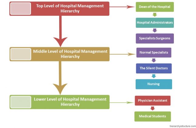 Hospital Management Hierarchy Chart | Hierarchystructure.com