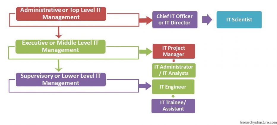 IT Management Structure Hierarchy | Hierarchy Structure