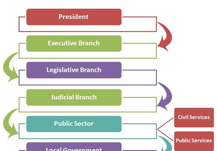 Business Department Hierarchy | Hierarchy Structure