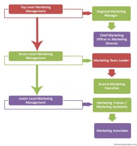 Marketing Management Structure Hierarchy | Hierarchy Structure