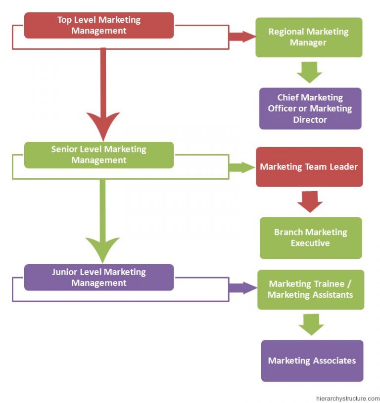 Marketing Management Hierarchy