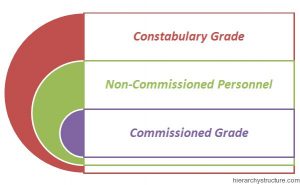 Nsw Police Ranks New South Wales Police Ranks Hierarchy | Hierarchy Structure