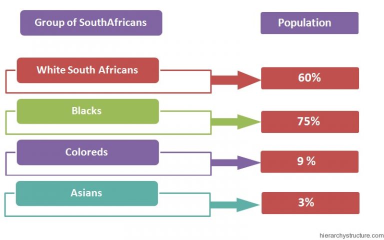 Racial Hierarchy in South Africa