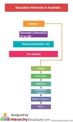 hierarchy australia schools primary hierarchystructure responsibility