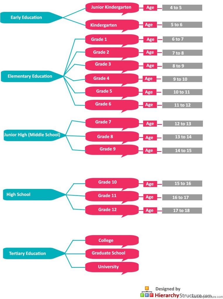 Education Levels Hierarchy In Canada Hierarchy Structure