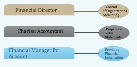 Financial Hierarchy | Marketing company and agencys | hierarchy structure